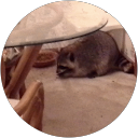 Cherie Echols profile picture